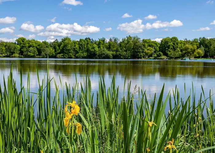Fewo Am Stadtsee - Bad Waldsee